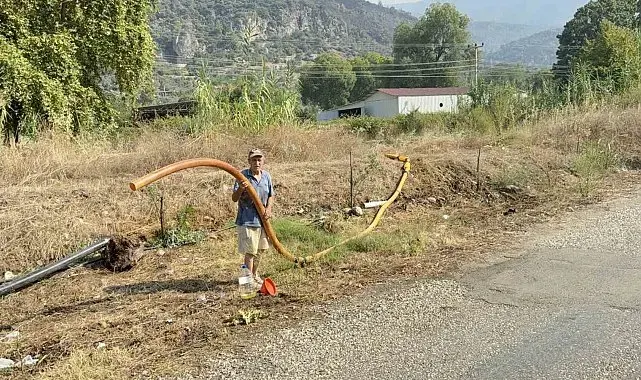 Zeytinlikleri kül oldu, gözyaşını içine akıtıp yangına su taşıdı