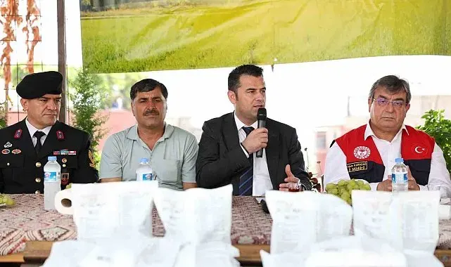 Akdeniz'de meyve sineğiyle mücadeleye ilaç desteği