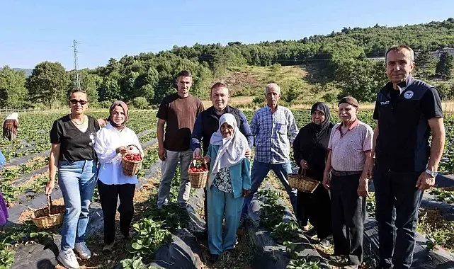 Vali Sözer, huzurevi sakinleriyle çilek hasadı yaptı