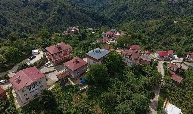 Karadeniz fıkrası gibi mahalle: Herkesin soyadı aynı