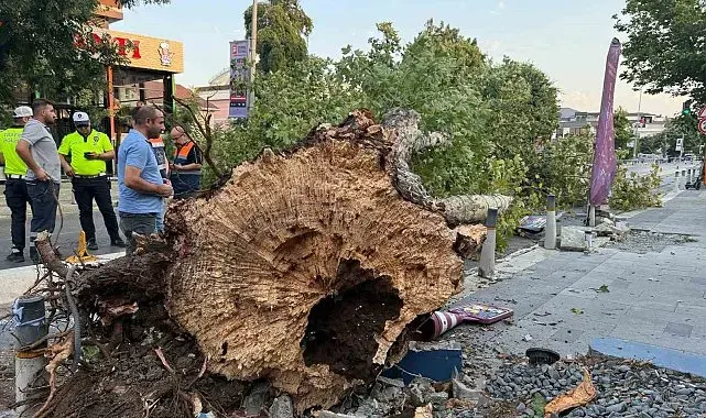 İstanbul'da kısa süreli etkili olan fırtına hasara yol açtı