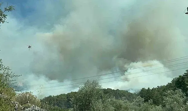 Fethiye'de orman yangınını söndürmek için ekipler seferber oldu