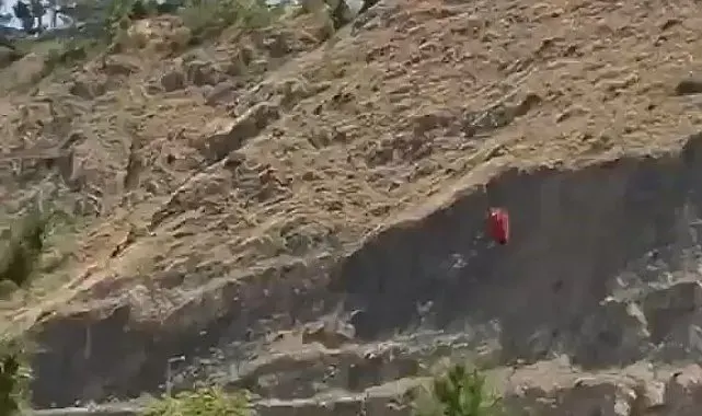 Elazığ'daki dağlık alan yangınına havadan müdahale başladı