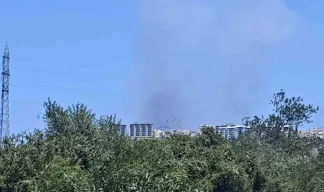 Antalya'da ormanlık alanda yangın