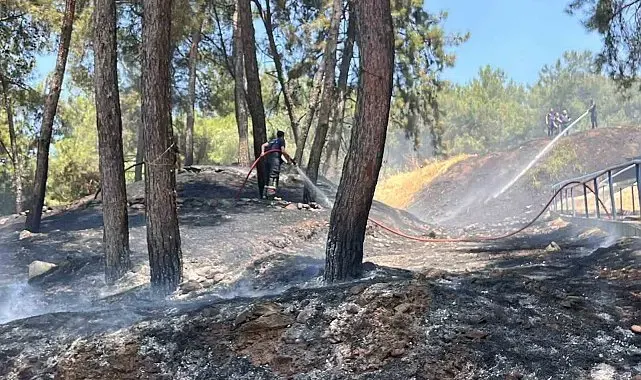Mesire alanındaki yangın kısa sürede söndürüldü
