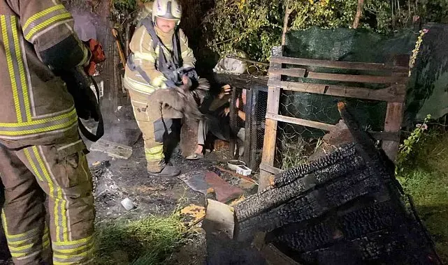 Kümeste çıkan yangında 40 kanatlı telef oldu