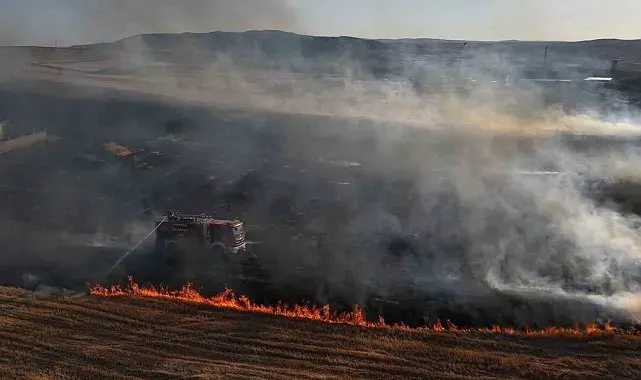 Bir izmarit faciaya yol açıyordu: Alevler mandıra ve evlere kadar ilerledi