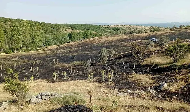 Tokat'ta örtü yangını: 15 dönüm ekili arazi küle döndü