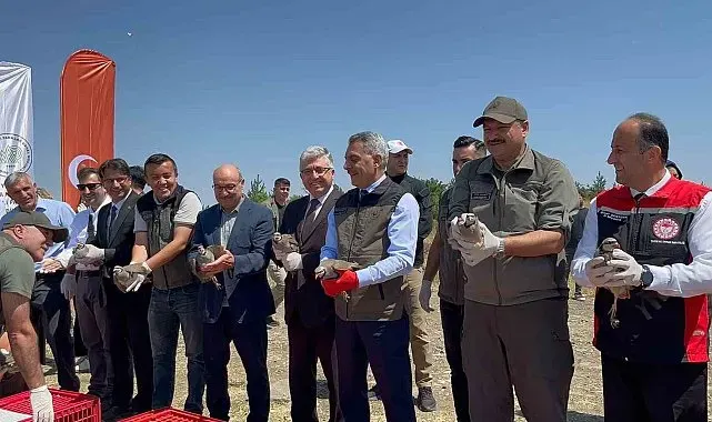 Çamlık Milli Parkı'nda bin keklik doğaya kanat çırptı