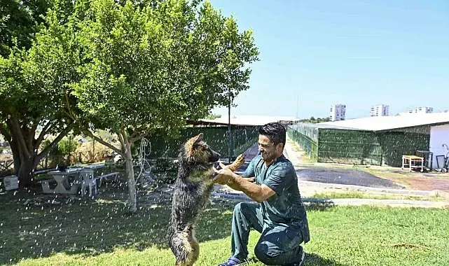 Muratpaşa'dan patili dostlara serin dokunuş