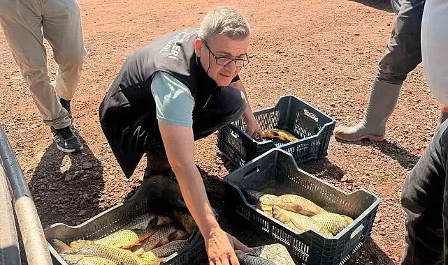 Beyşehir Gölü'nde ağlar ve balık boyları mercek altında