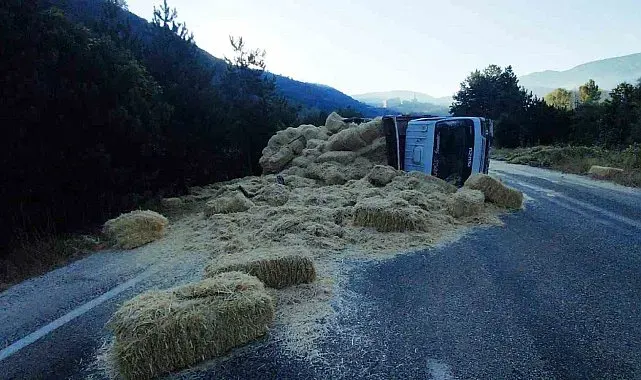 Bolu'da iki kamyon kafa kafaya çarpıştı: Samanlar yola saçıldı, 2 yaralı