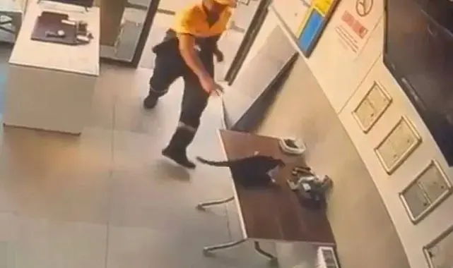 Akaryakıt istasyonunda kedinin saldırdığı kargayı görevli kurtardı