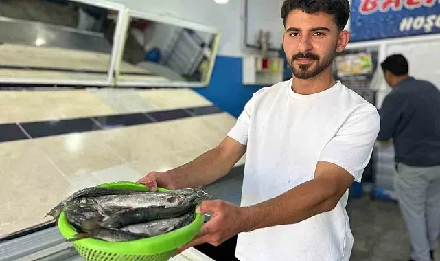 İnci kefali tezgâhlardaki yerini aldı