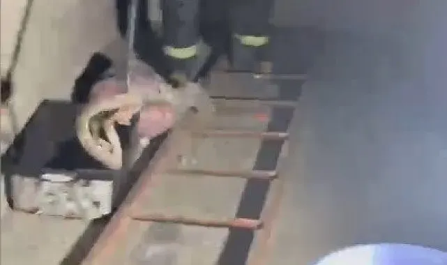Evde görülen zehirli engerek itfaiye ekiplerince yakalandı