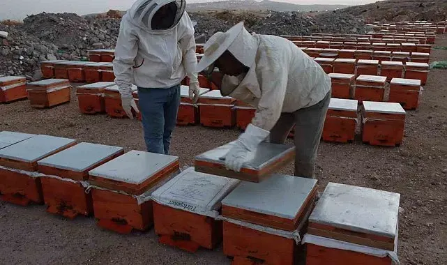 Adıyaman'da 2026 yılı bal fiyatları açıklandı