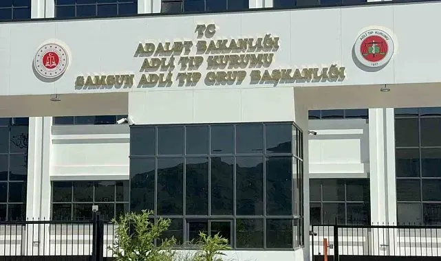 Ihlamur ağacından düşen yaşlı adam hayatını kaybetti