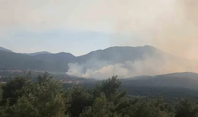 Antalya'daki orman yangınına müdahale sürüyor