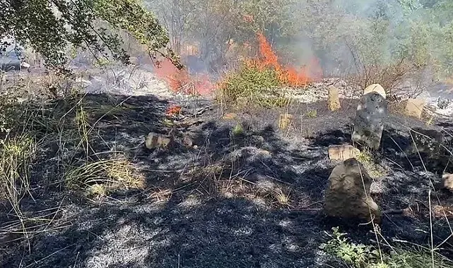 Bitlis'te peş peşe çıkan yangınlar paniğe neden oldu