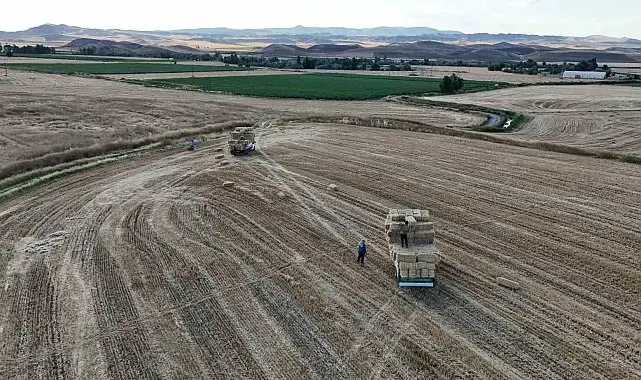 Hasat sonrası balya mesaisi başladı: Günlük kazanç 7 bin lirayı buluyor