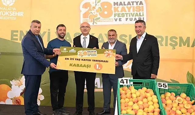 'En İyi Kayısı' yarışması düzenlendi
