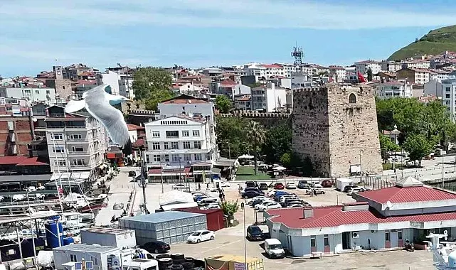 Sinop'ta trafiğe kayıtlı araç sayısı 87 bin 412 oldu: Motosiklet ilk sırada