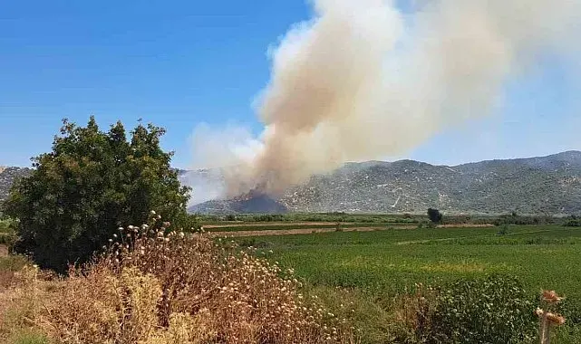 Söke'de zirai alanda yangın