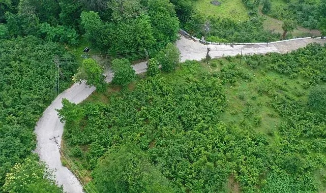Ordu'da beton yol çalışmaları