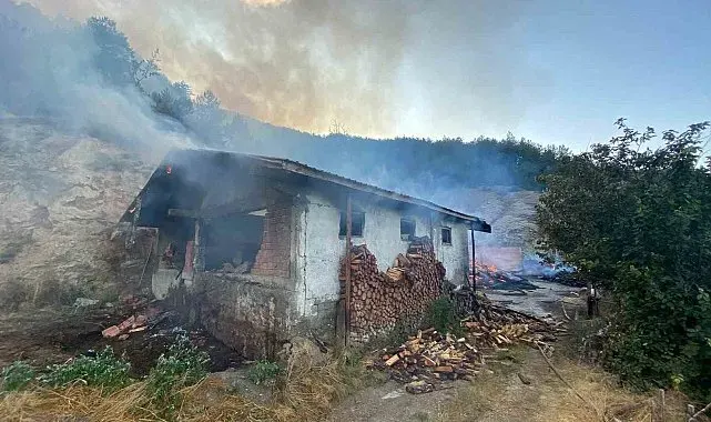 Kastamonu'da evde çıkan yangın ormana sıçradı