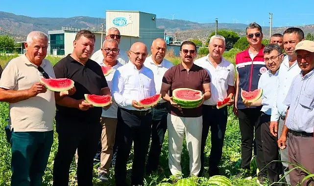 Cincin karpuzunda ilk hasat heyecanı yaşandı