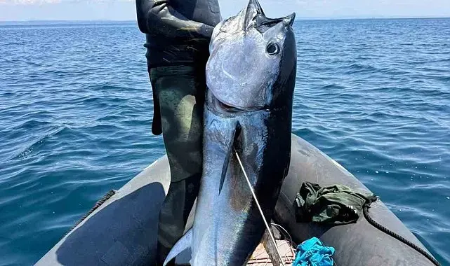 Gökçeada'da sörf eğitmenleri 55 dakikalık mücadelenin ardından 65 kiloluk orkinos yakaladı