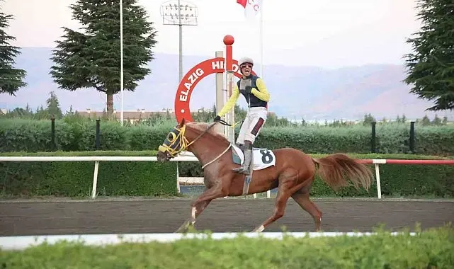 Valilik koşusunda zafer Nesib'in