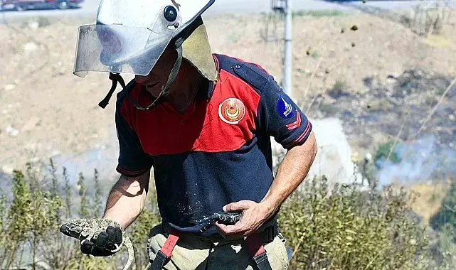 İzmir İtfaiyesi bukalemunu hayata döndürdü