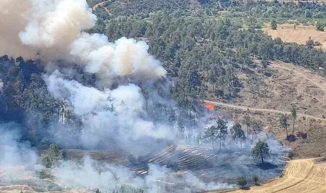 Bursa'da otluk alanda çıkan yangın ormana sıçradı