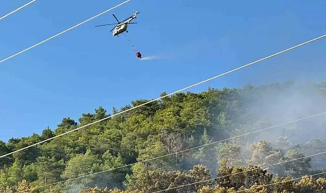 Ortaca'daki orman yangını kontrol altına alındı