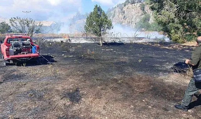 Elektrik direğinden kaynaklı yangın 3 dönümlük alanı küle çevirdi