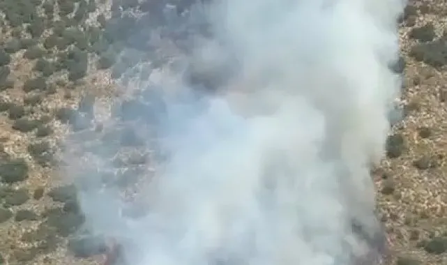 Demre'de orman yangını