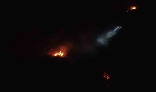 Balıkesir'de gece yarısı orman yangını çıktı