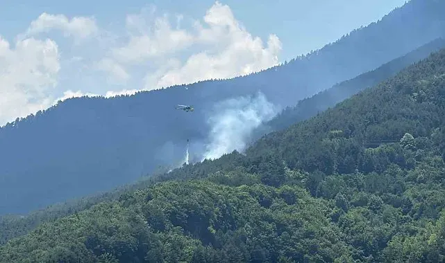 Ormanlık alanda çıkan yangına havadan ve karadan müdahale