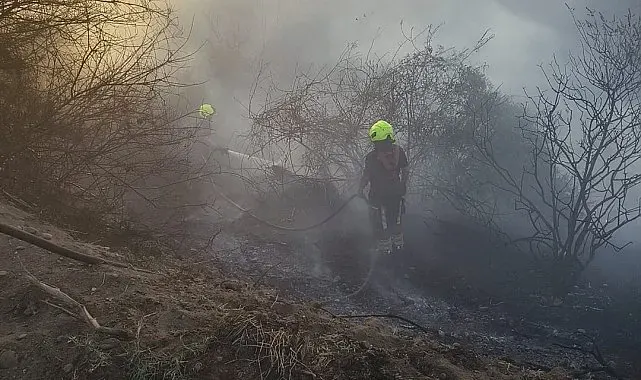 Burhaniye'de ot yangınını itfaiye söndürdü