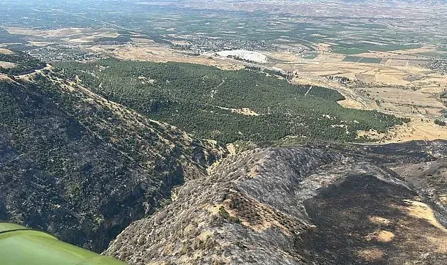 Denizli'de korkutan yangın kontrol altına alındı