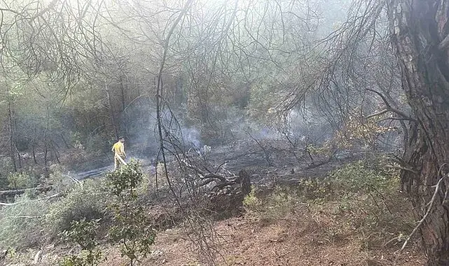 Bilecik'te örtü yangını büyümeden söndürüldü