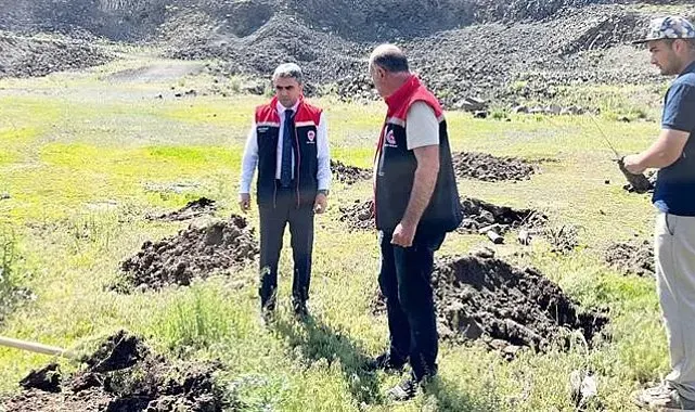 Palandöken'de 2 bin 500 rakımda yeşil kalkan