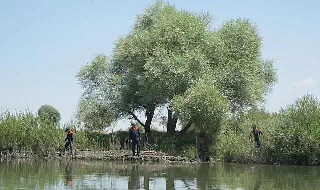 Berat'tan üç gündür haber yok