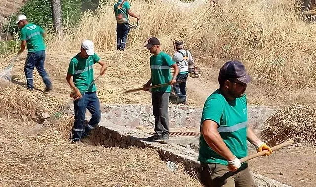 Yangınlara karşı Ayvalık'ta kuru ot temizliği aralıksız sürüyor
