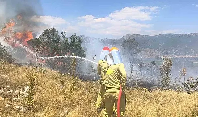 Menteşe'de makilik yangını