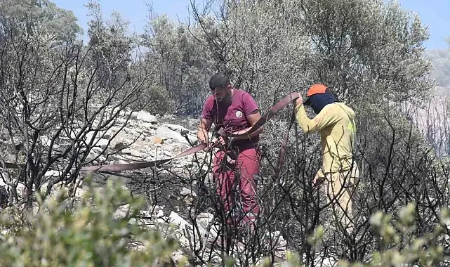İzmir'de ormanlık alanda çıkan yangın erken müdahaleyle kontrol altında