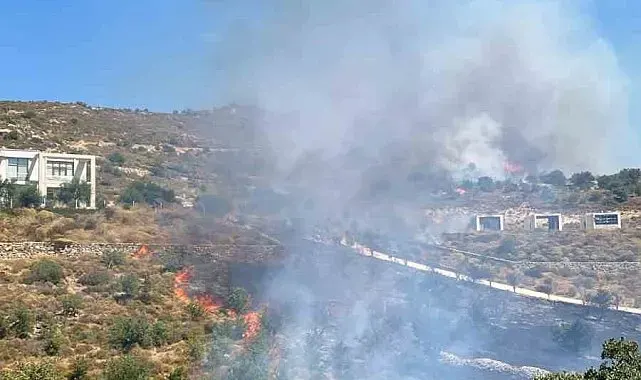 Bodrum'da makilik yangını