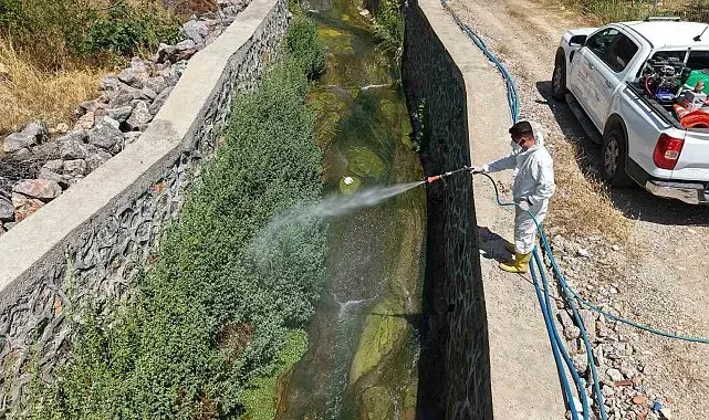 Kahramanmaraş'ta sivrisinek ve haşerelere karşı mücadele