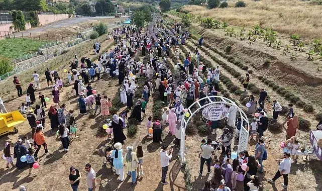 Lavanta kokuları eşliğinde hasat yaptılar
